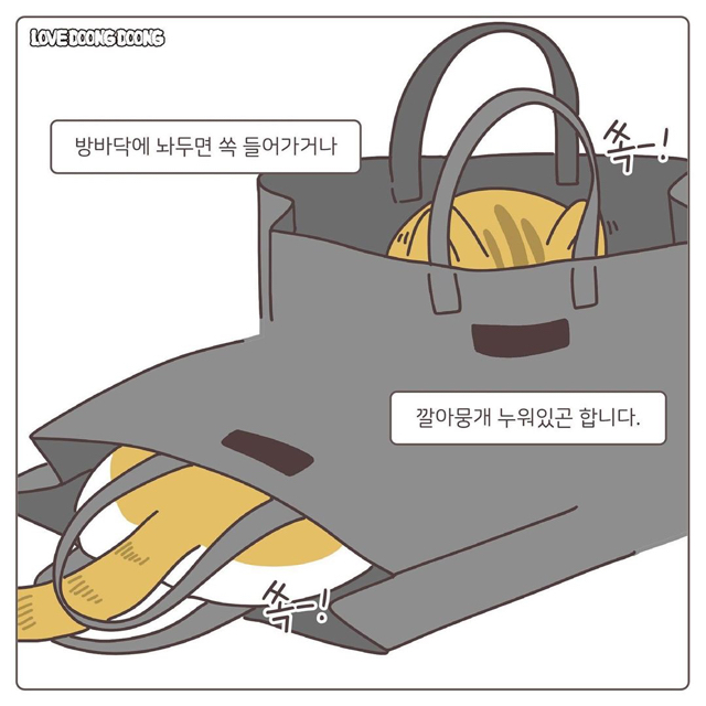 프라이탁 가방에 환장하는 냥이.gif | 인스티즈