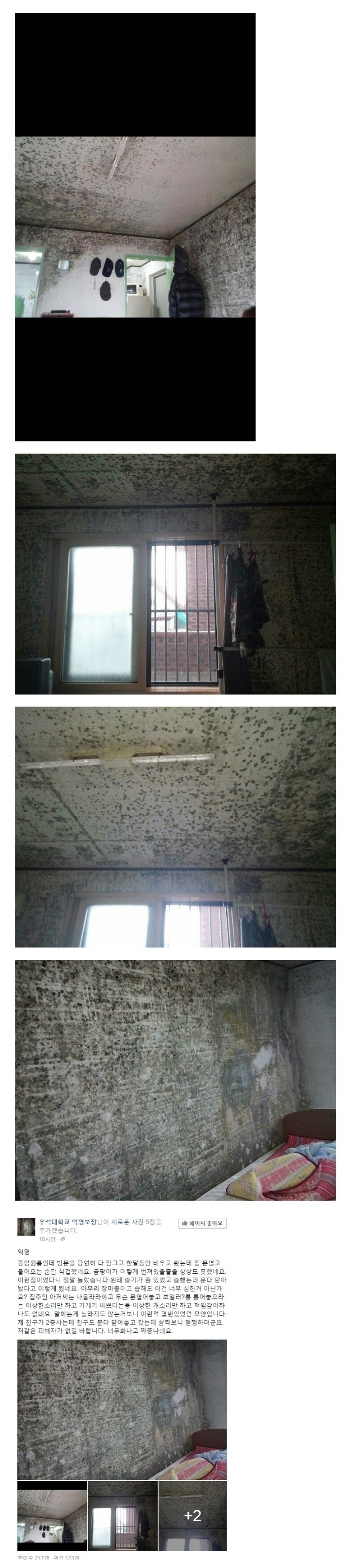 자취할때 반지하를 피해야하는 이유 | 인스티즈