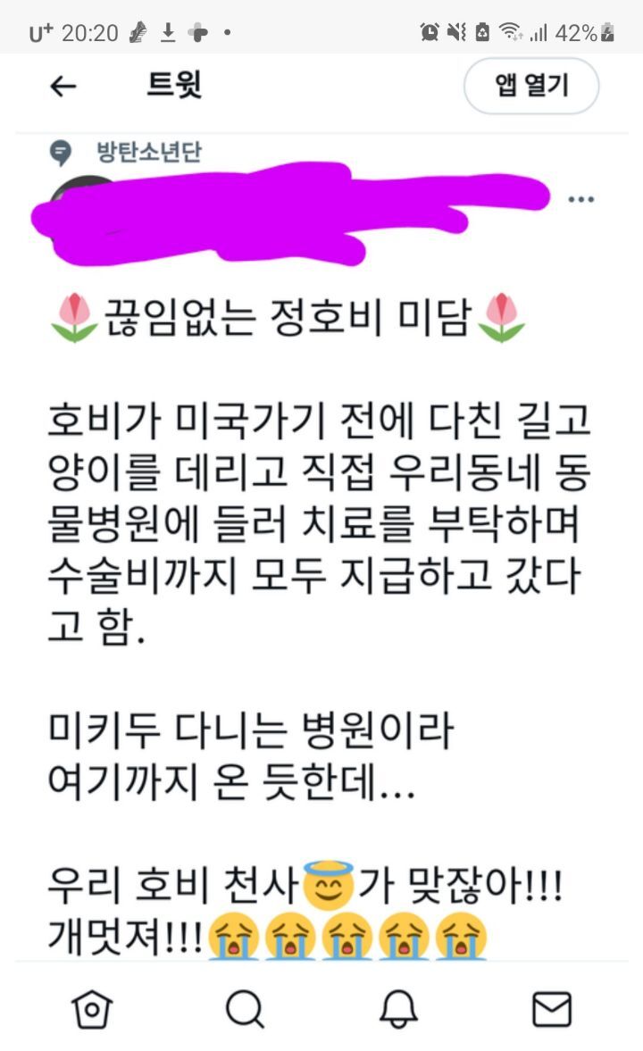 다친 길고양이를 본 방탄소년단 제이홉 | 인스티즈