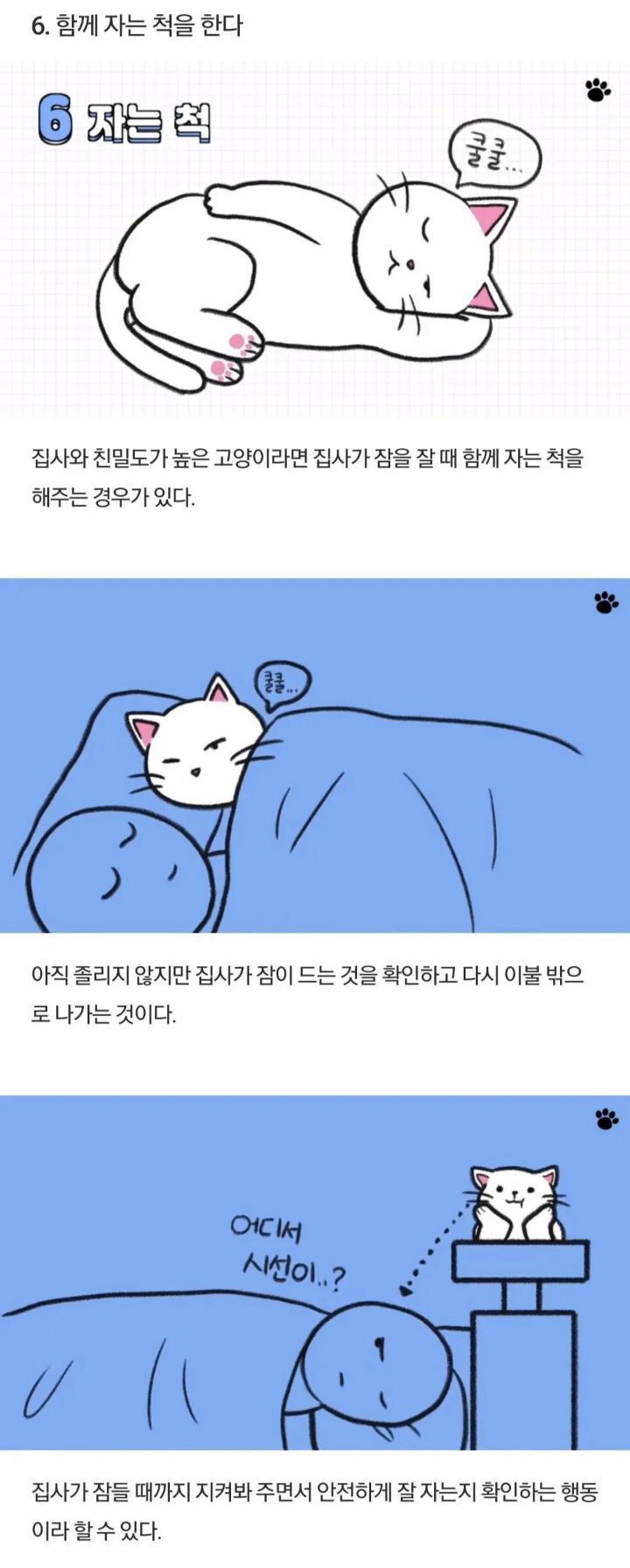 고양이가 하는 행동들 | 인스티즈