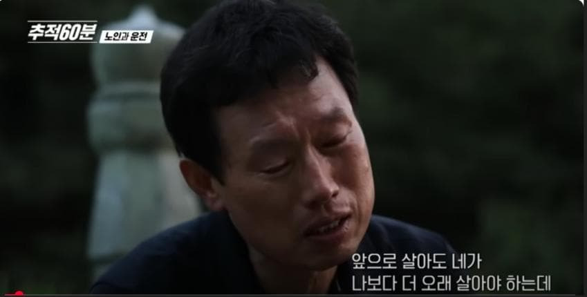 행복했던 가정을 박살내버린 시청역 역주행 교통사고 가해자 노인 | 인스티즈