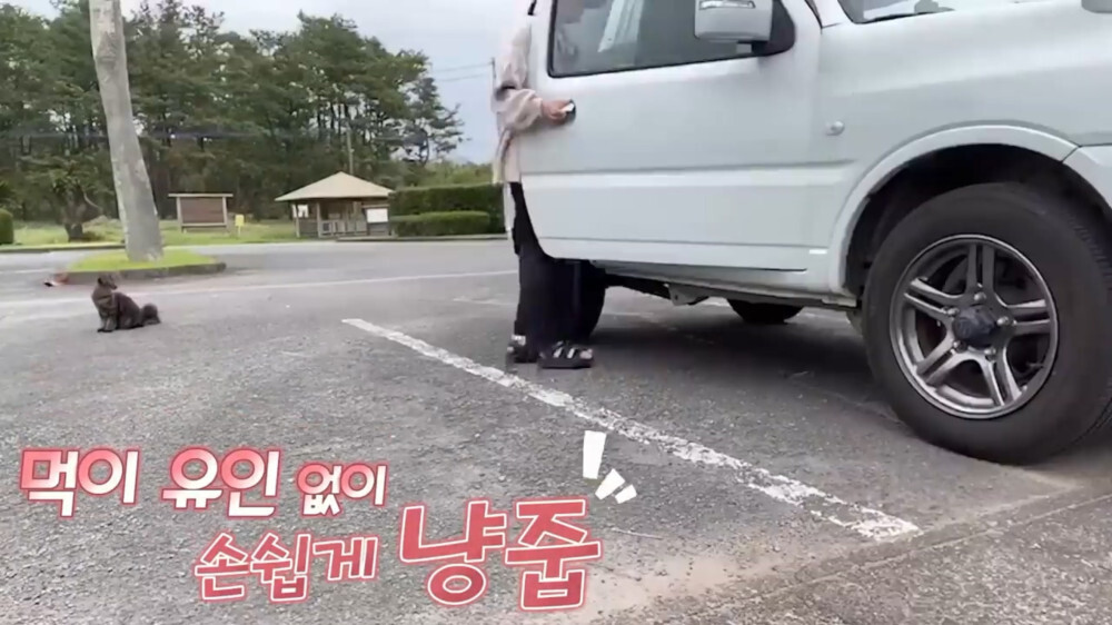 [스압주의] 일본인 캣맘 유튜버 2편 - 3천만원짜리 고양이 집 지음 | 인스티즈