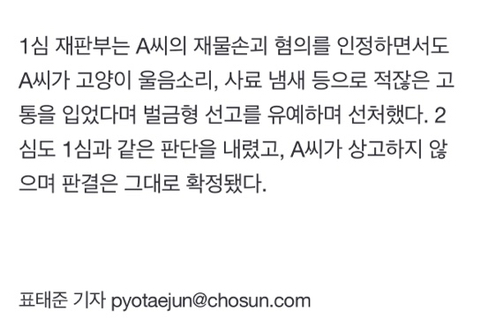 고양이 울음소리·냄새에... 밥그릇 치운 60대 유죄 확정 | 인스티즈
