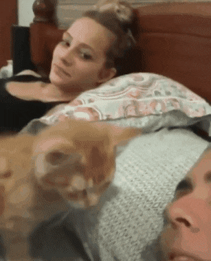 동물 키우는 사람들 스트레스 0% 되는 순간 | 인스티즈