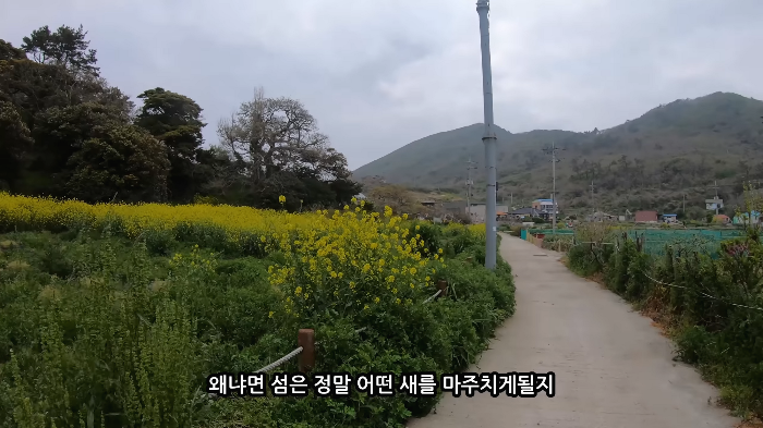 [사진100장스압] 고양이가 자연생태계에 끼치는 심각한 영향 | 인스티즈