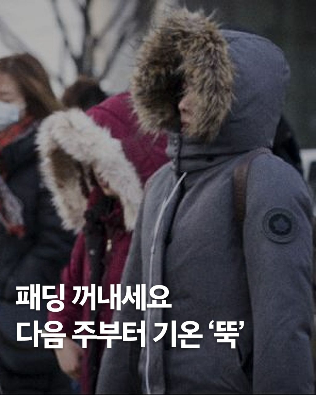 여러분 패딩 꺼내세요 | 인스티즈