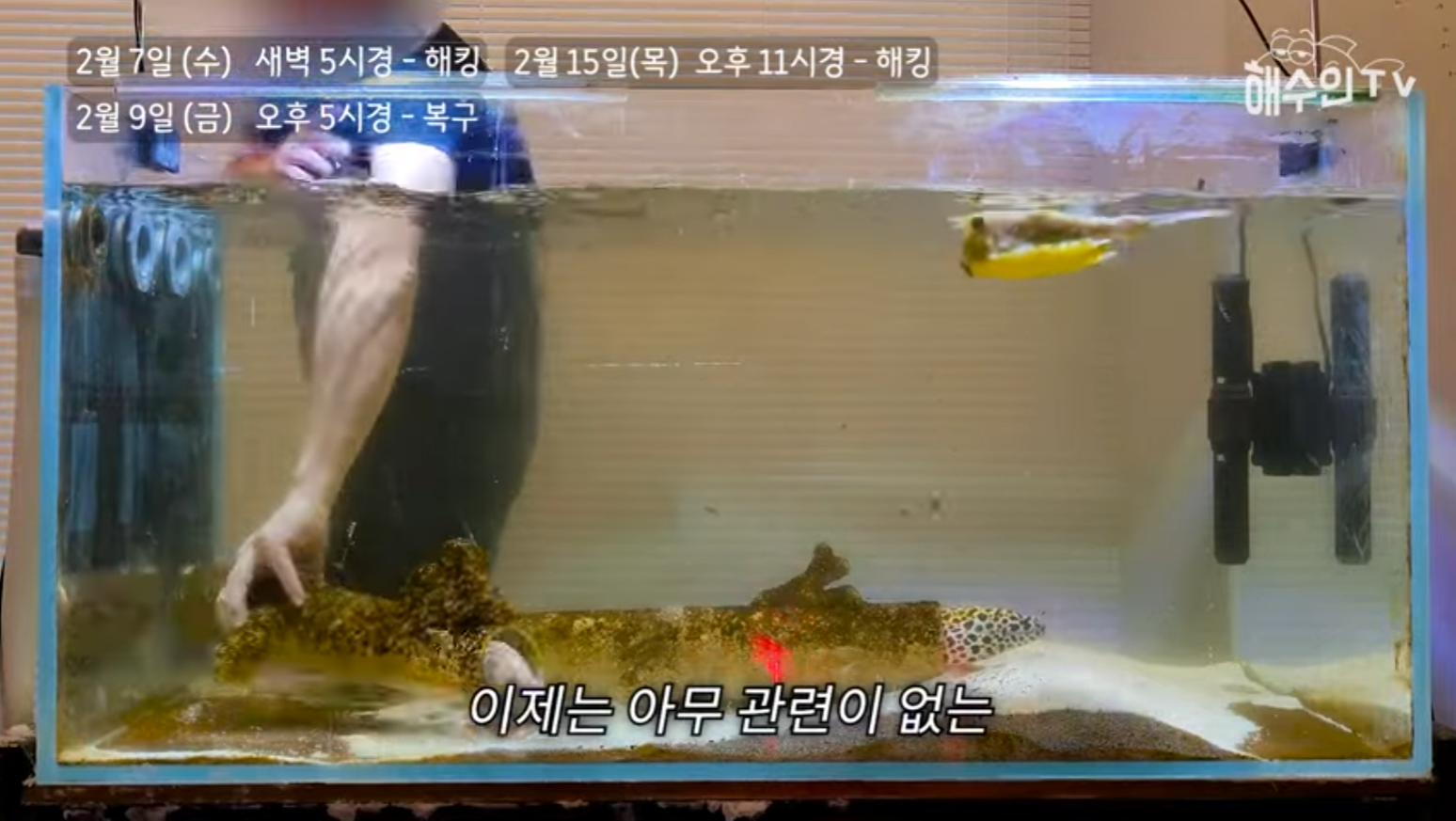 유튜브 계정이 3번이나 해킹 당한 이유 | 인스티즈