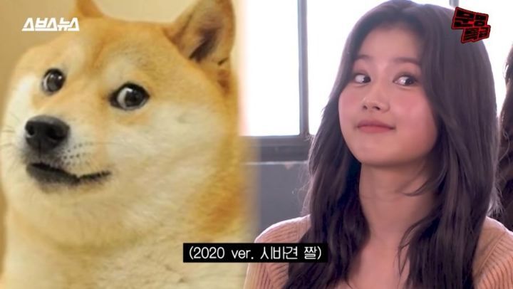 도지코인 닮은 아이돌 ㄷㄷㄷ.JPGIF | 인스티즈