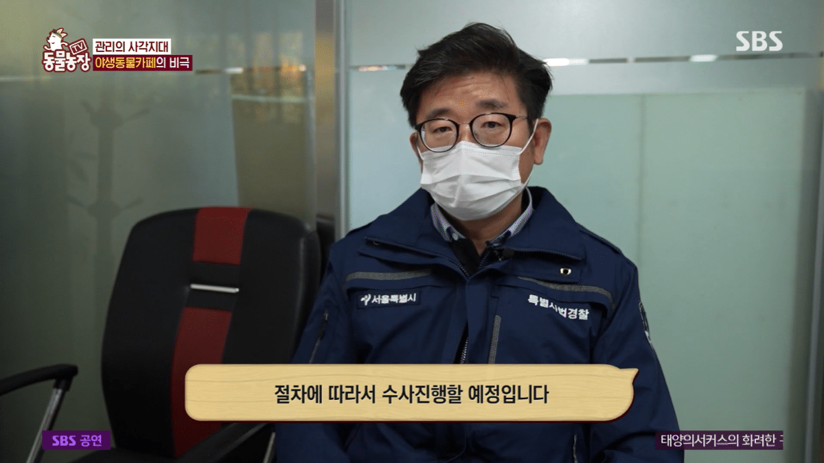 현재 난리난 동물농장에 나온 동물카페 사장.jpg | 인스티즈