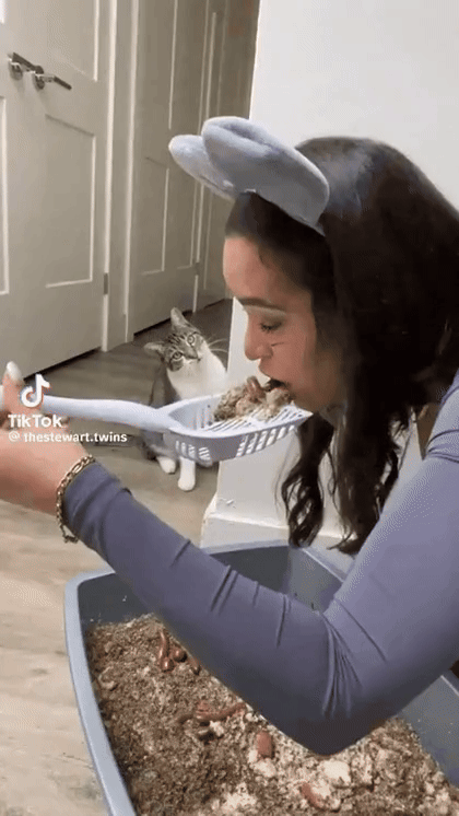 고양이 앞에서 똥 먹는 척 | 인스티즈