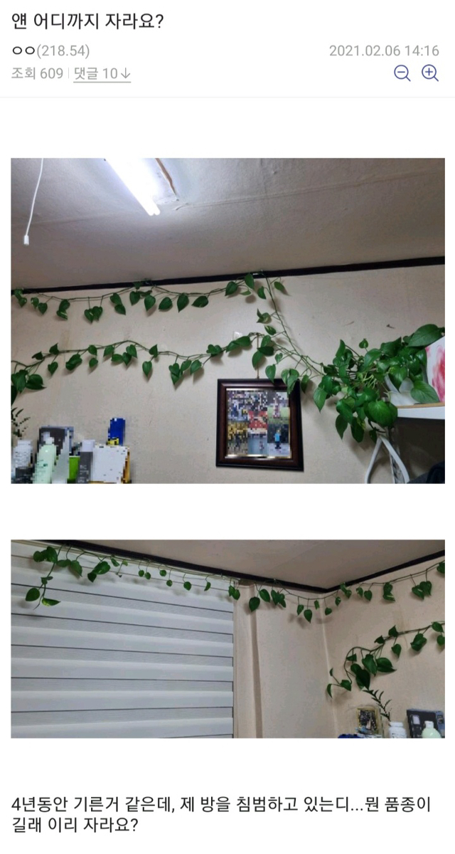 176e755d4bdfba31ece4323deaf9f1a580d4a9b5