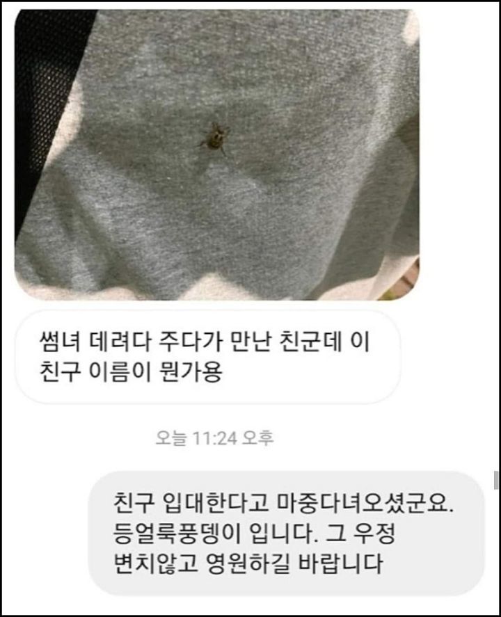 모르는게 없는 유튜버ㅋㅋㅋㅋㅋㅋ.jpg | 인스티즈