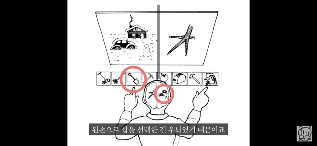 (스압)분리 뇌 실험 | 인스티즈