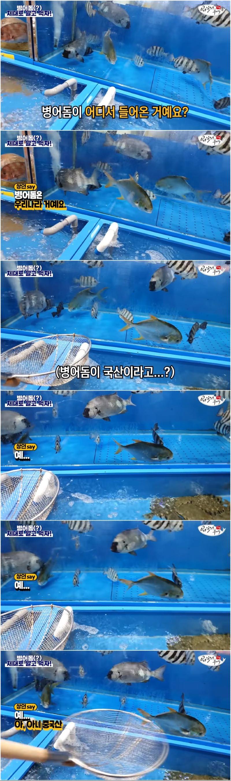 일반인들은 다 당하고있는 수산시장 저울치기 방법 | 인스티즈