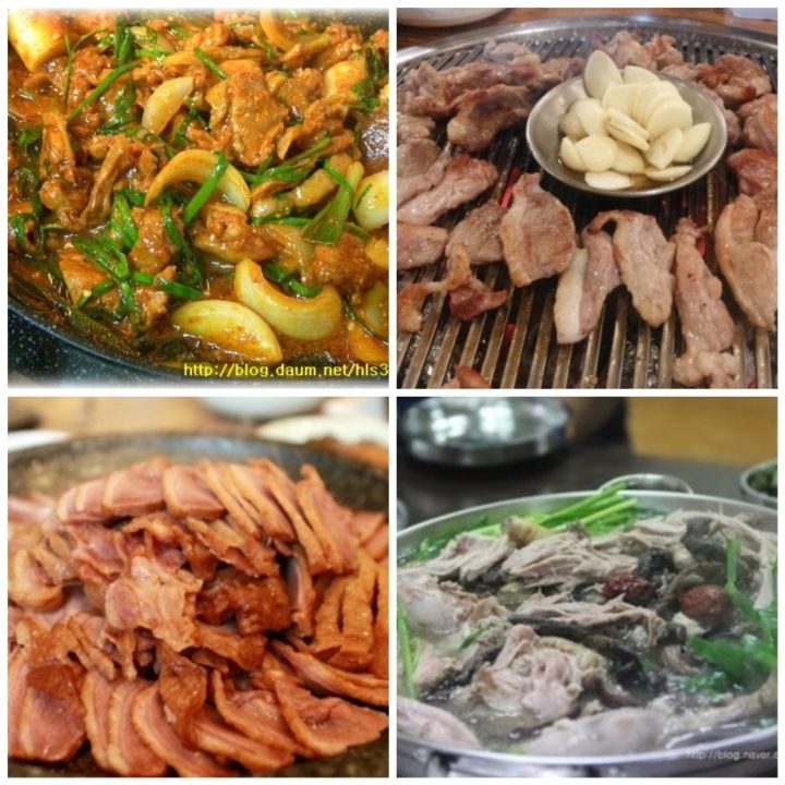 오리고기 선호도 | 인스티즈