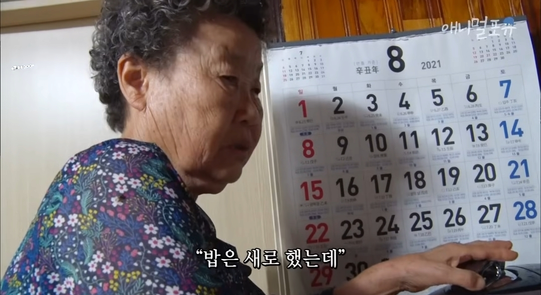 치매 걸린 아내가 4년만에 끓여준 미역국 jpg | 인스티즈
