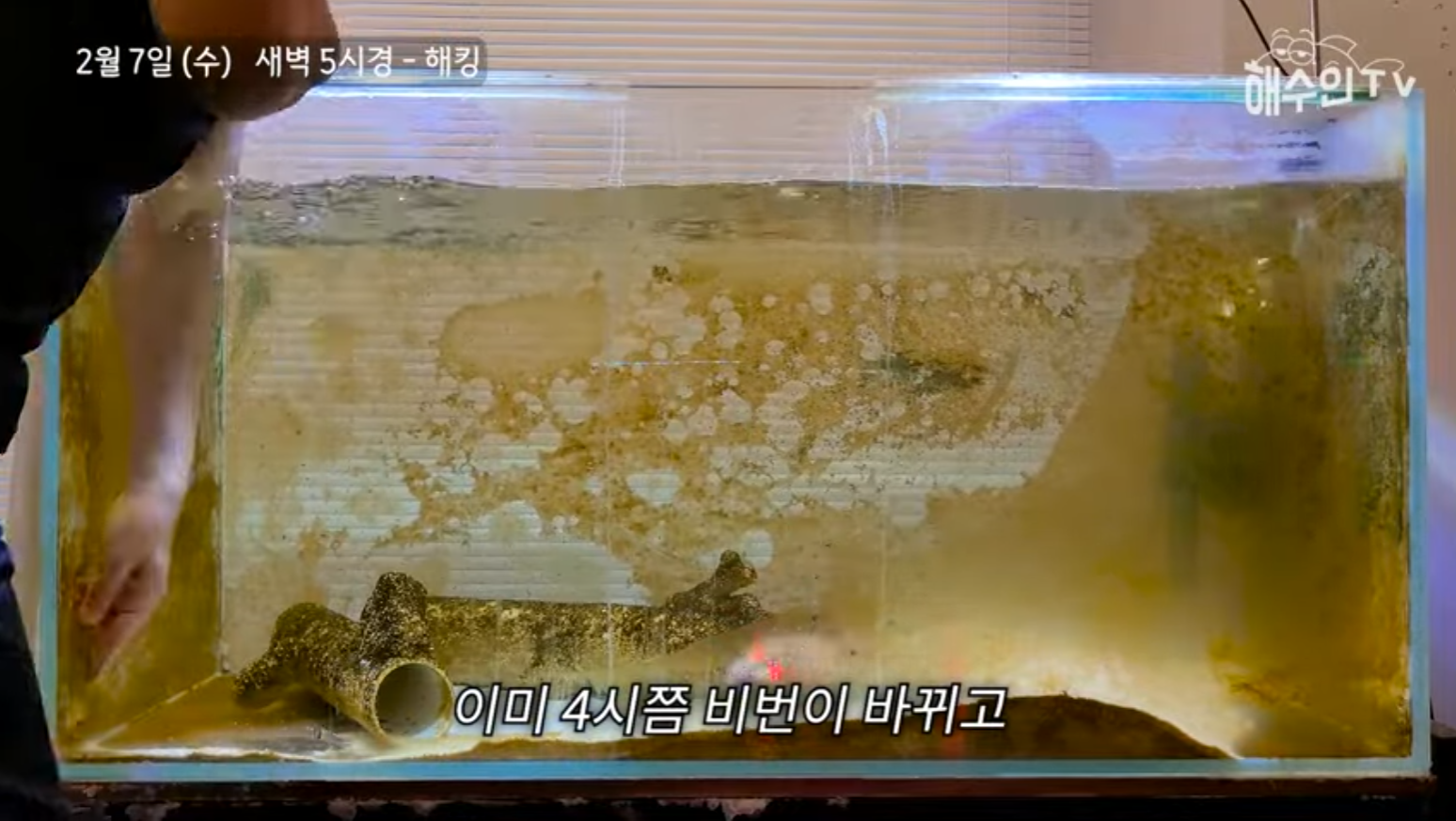 유튜브 계정이 3번이나 해킹 당한 이유 | 인스티즈