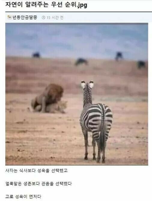 3대 욕구 중 성욕이 최고인 이유 | 인스티즈