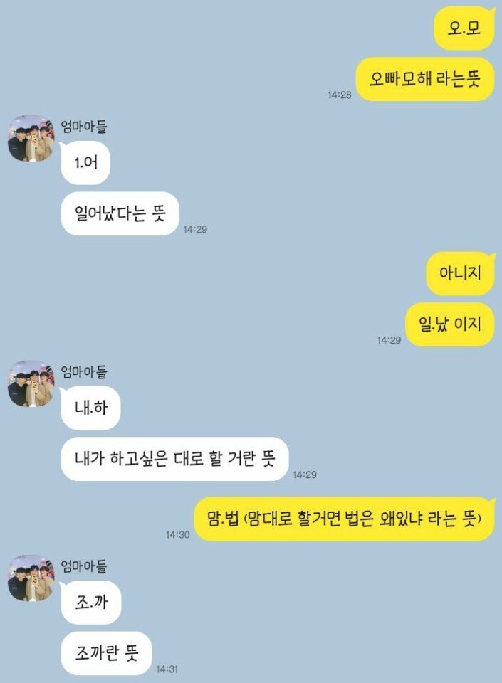 친남매 카톡 레전드 | 인스티즈