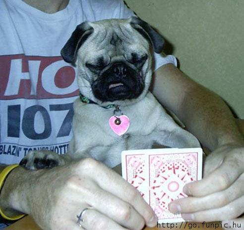 185d5d5736c43333b1b0c157eb11c1ca3ce9fa55