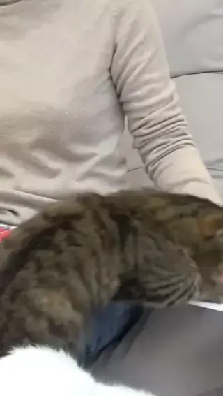 188608248e0dff2ec7ed09bc49d7f5a2df9b0323