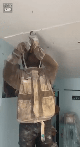 천장 벌집 | 인스티즈