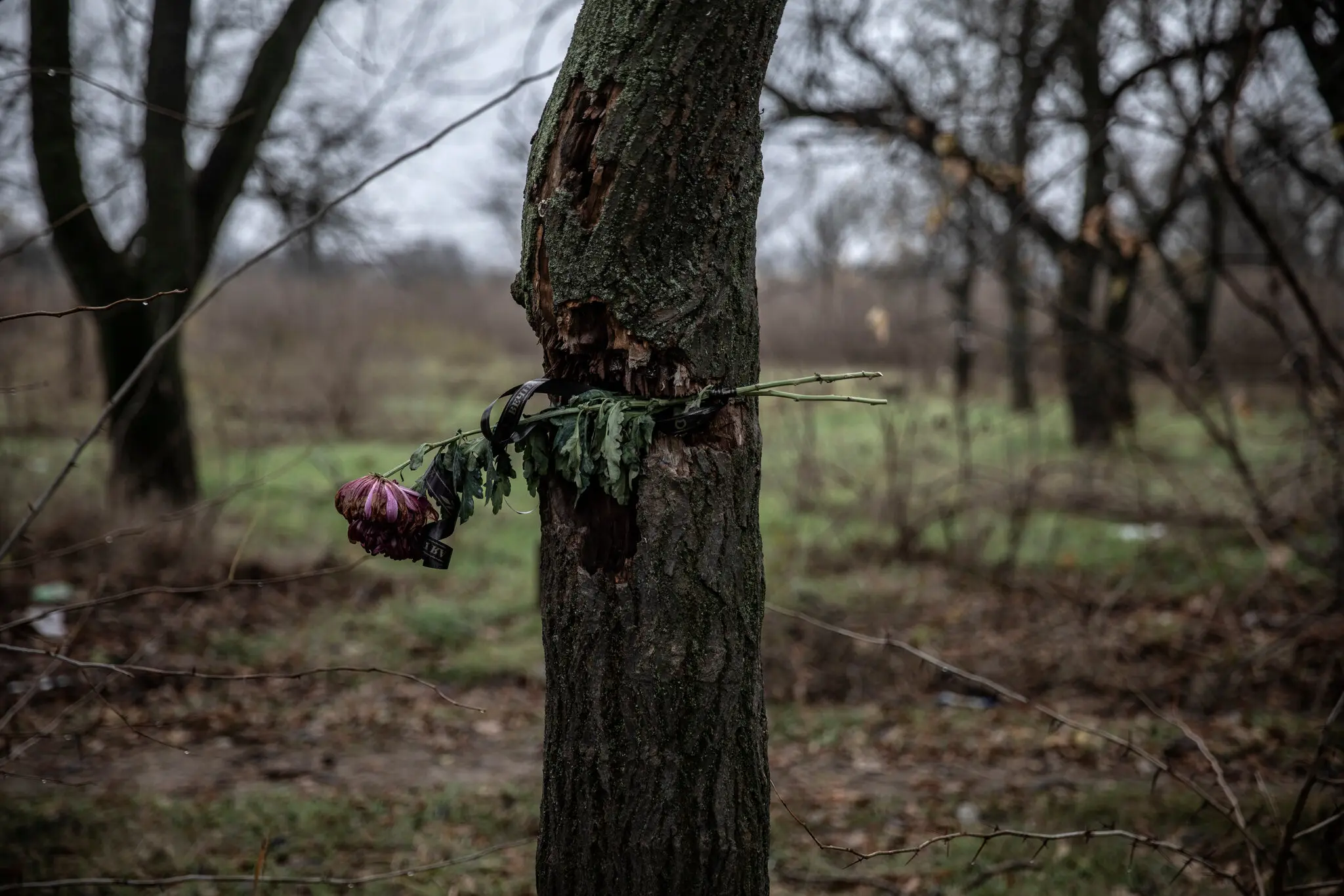 헤르손에서 활동했던 우크라이나 레지스탕스들의 이야기 | 인스티즈