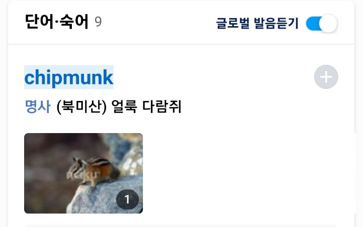 이상한 다람쥐의 세계... | 인스티즈
