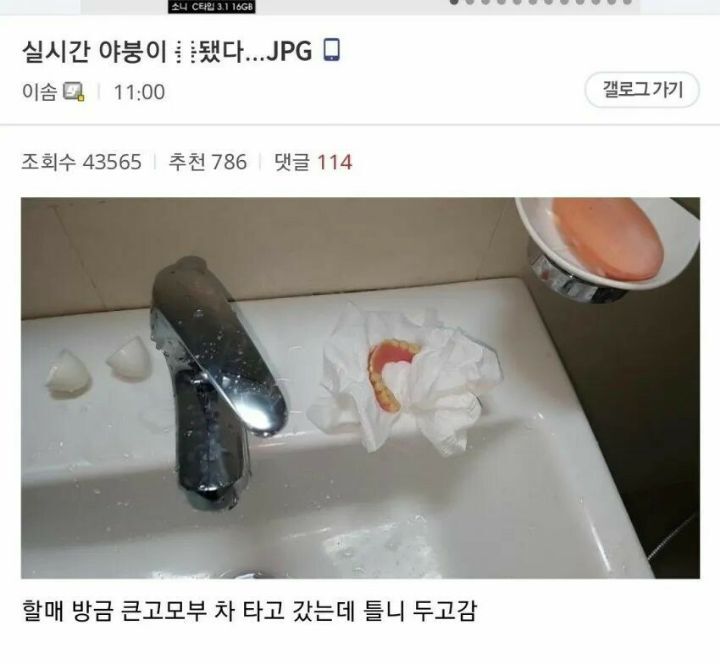 야붕이 실시간 x된 모음집 | 인스티즈