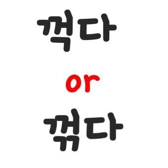 Daum 카페