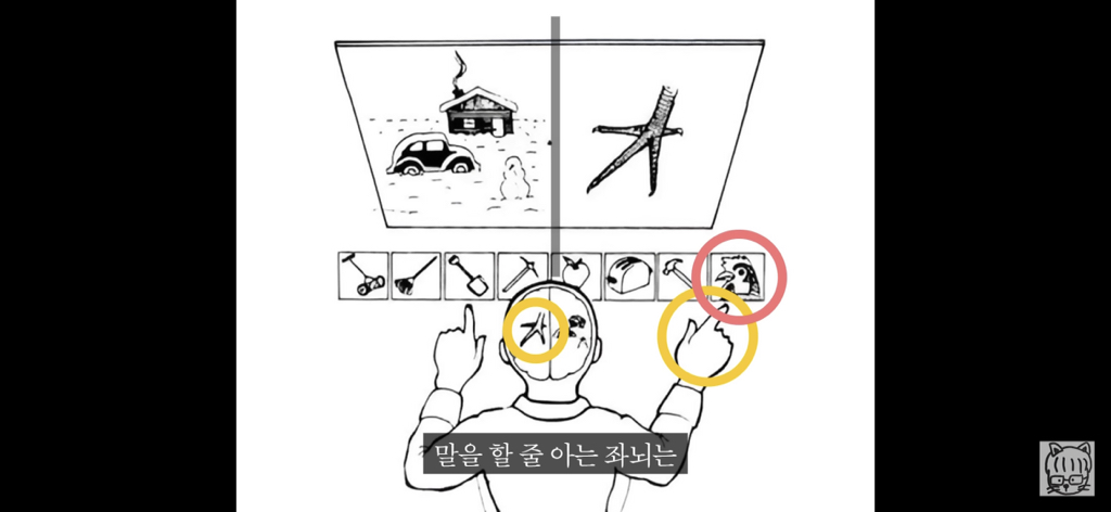 (스압)분리 뇌 실험 | 인스티즈