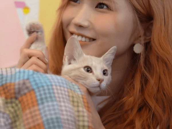 프로미스나인의 앨범 자켓 메이킹! | 인스티즈