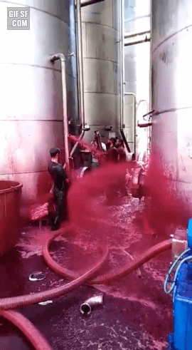 이탈리아 레드와인 저장탱크 사고 | 인스티즈