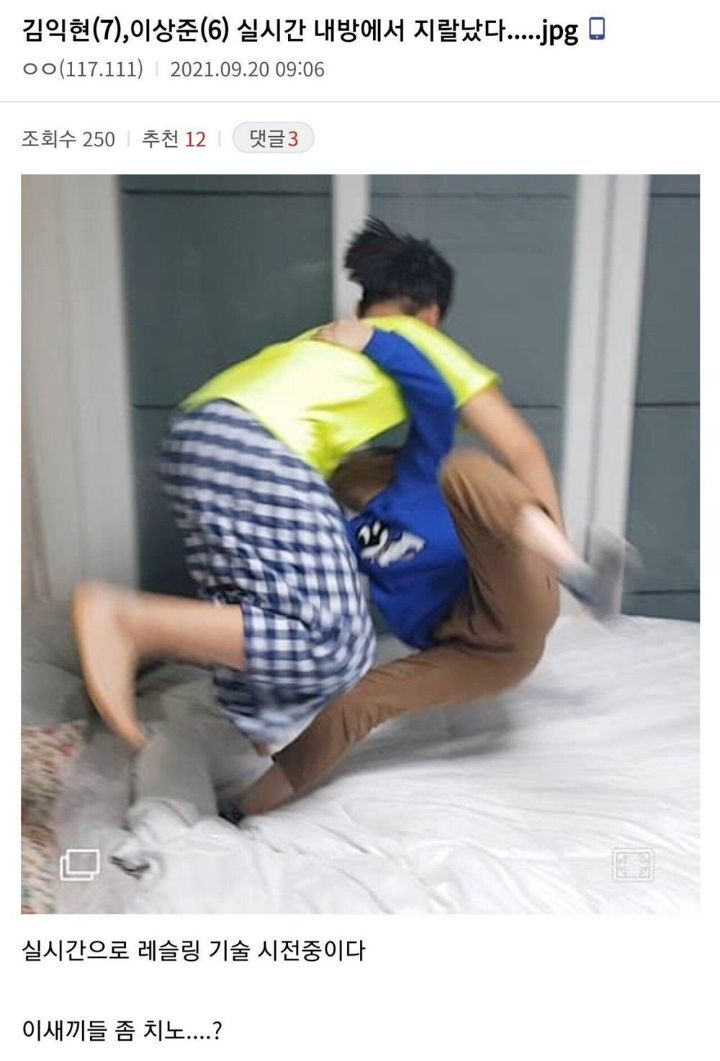 곧 다가올 추석기념 디씨 명절 대참사.jpg | 인스티즈