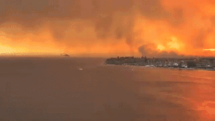 "공포영화가 아니라 실제다"화염에 휩싸인 그리스 휴양지 | 인스티즈