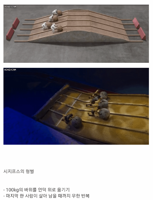 피지컬100) 4번째 퀘스트 공개...GIF | 인스티즈