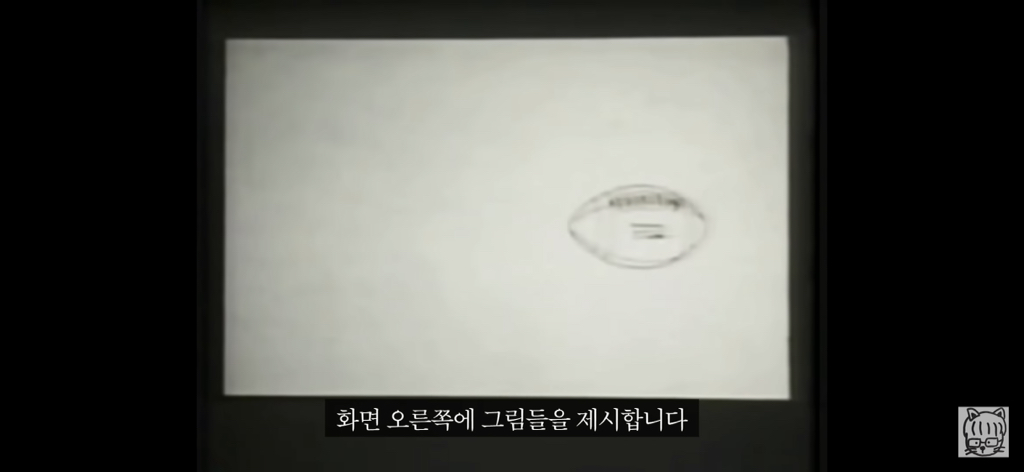 (스압)분리 뇌 실험 | 인스티즈