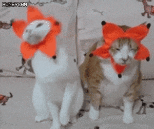 딸이 좋아하는 콘서트에 같이 간 아빠 | 인스티즈