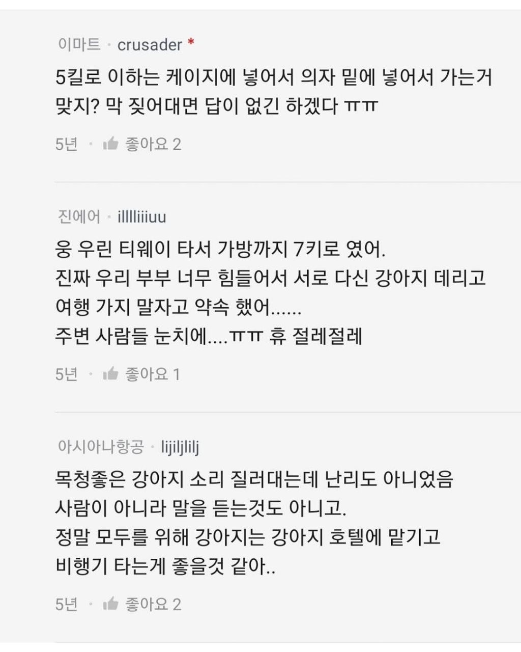 반려동물과 해외여행 욕심이다?아니다? | 인스티즈