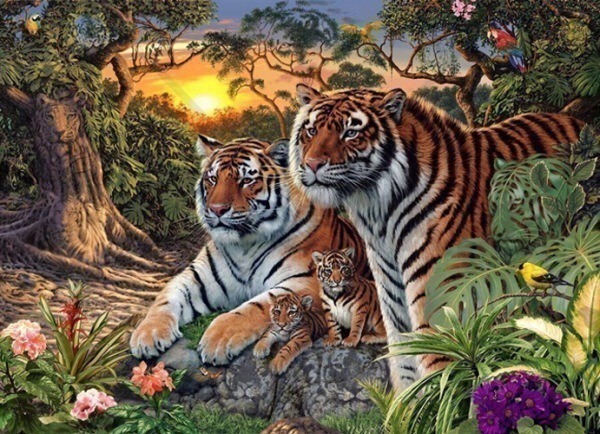 호랑이 찾기 | 인스티즈