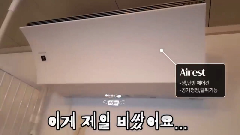 [스압주의] 일본인 캣맘 유튜버 2편 - 3천만원짜리 고양이 집 지음 | 인스티즈