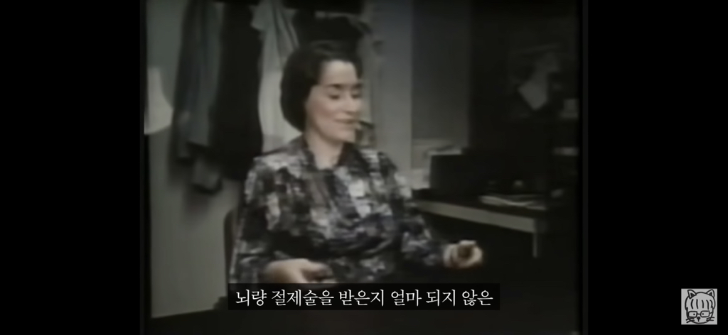 (스압)분리 뇌 실험 | 인스티즈