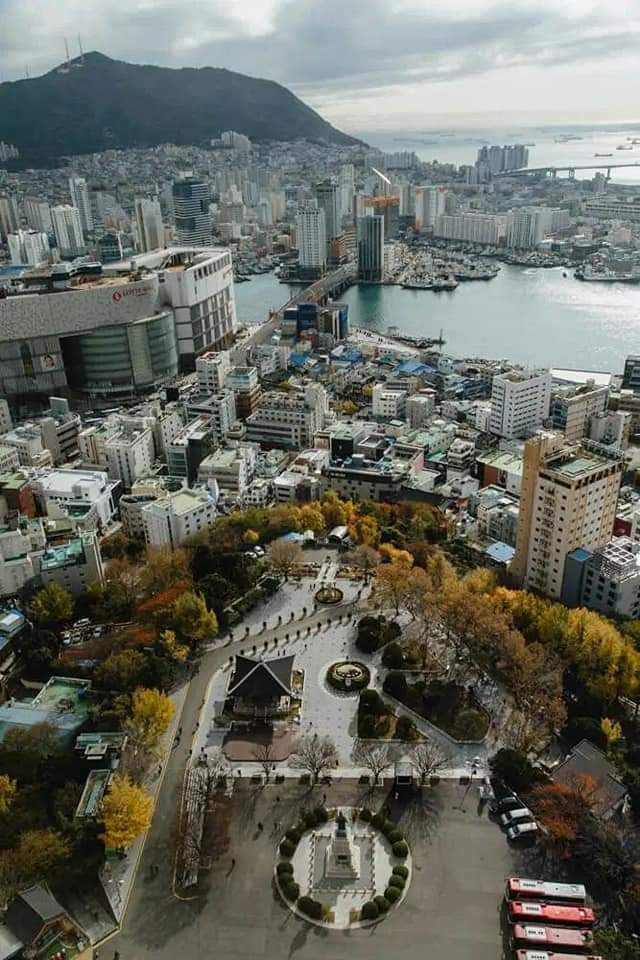 레딧에서 좋은 평가를 많이 받는 한국 도시 | 인스티즈