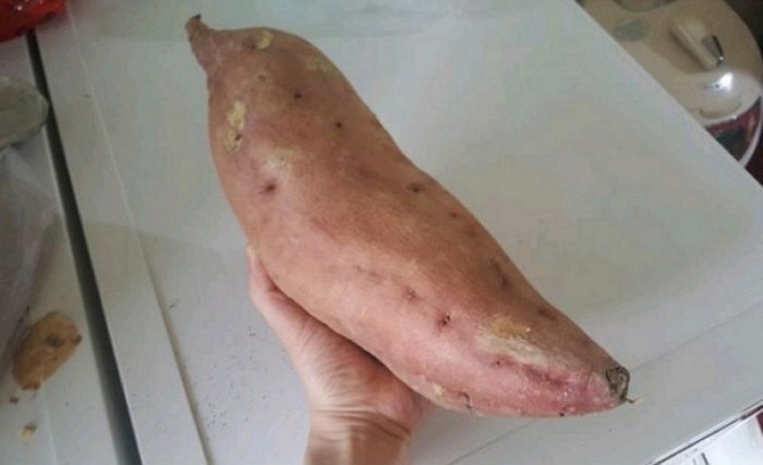 지증왕의 그곳은 45cm였다? 신라인과 성(性) 이야기 | 인스티즈