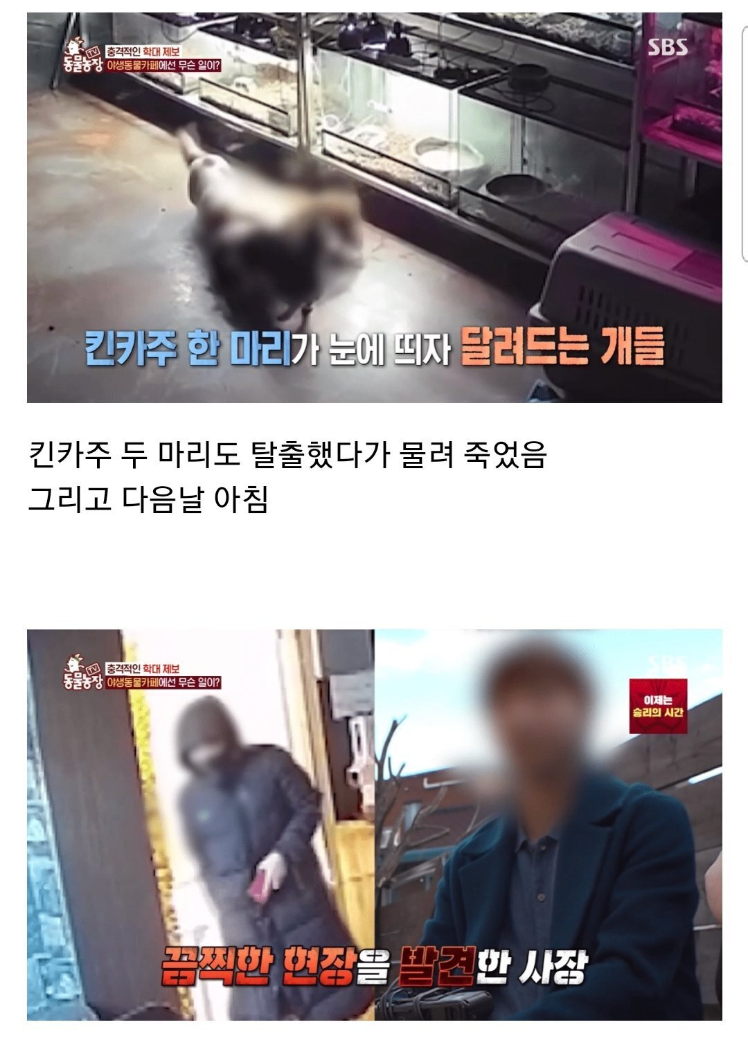 현재 난리난 동물농장에 나온 동물카페 사장.jpg | 인스티즈
