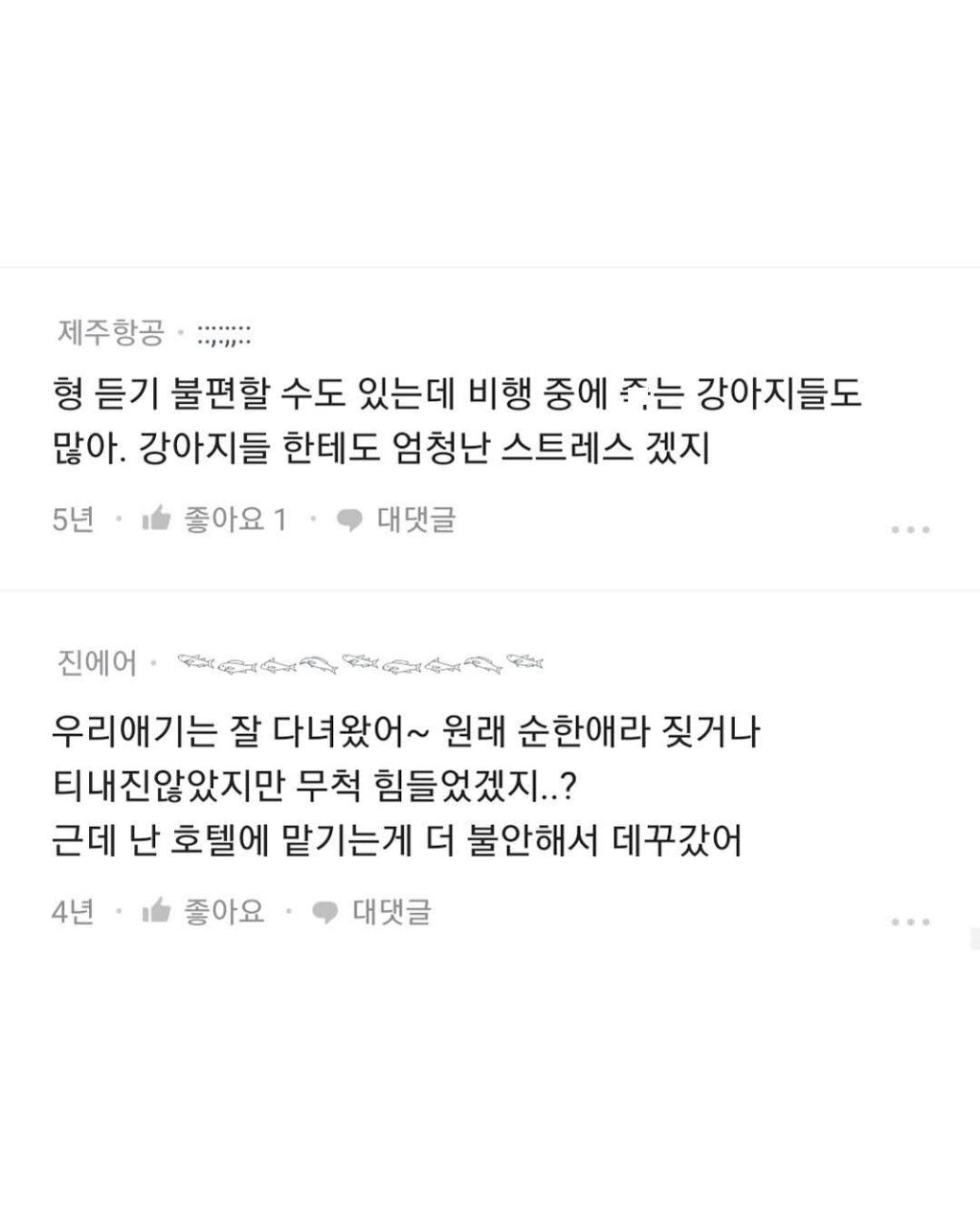 반려동물과 해외여행 욕심이다?아니다? | 인스티즈