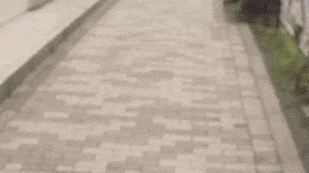 관광객이 줄어들자 네비게이션을 새로 만듦 | 인스티즈