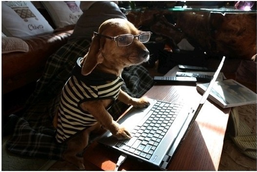 1b69628bb91095ed63217446435cd8fb488a8302