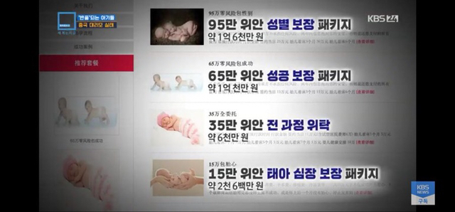 충격과 공포의 중국 대리모 시장 | 인스티즈