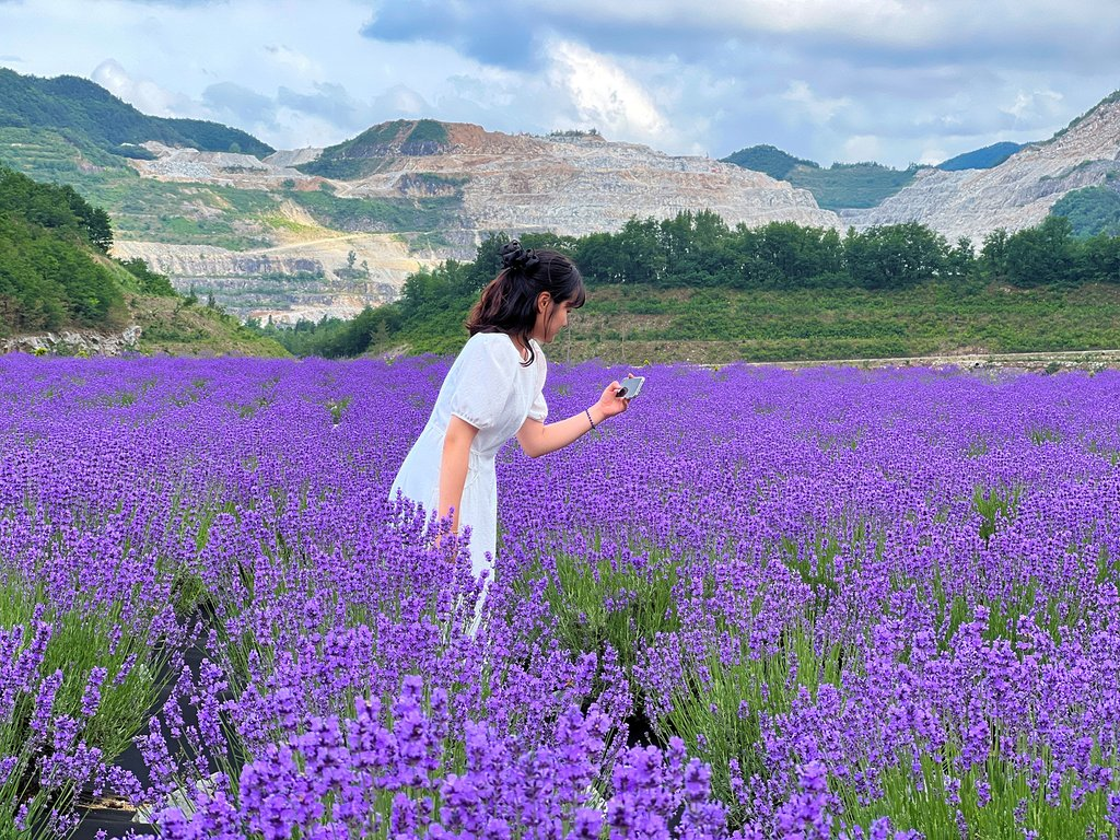 인생샷 찍기 좋다는 국내 배경이 예쁜 여행지들.JPG | 인스티즈